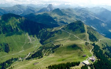 TANDEMFLIEGEN
 IN DER WILDSCHÖNAU